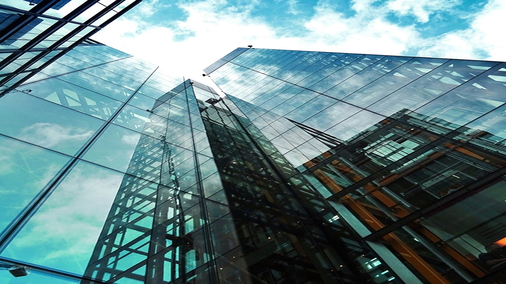 지젤 라이프그라피 서초