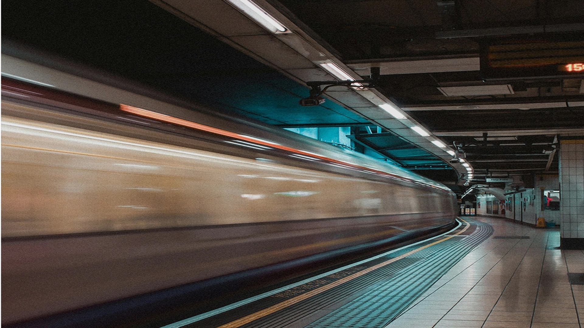 지젤 라이프그라피 서초